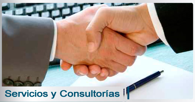 Servicios y Consultorías